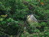 heron bihoreau sully