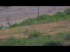 LOGO VIDEO POUSSINS DE STERNES