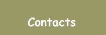 contacts