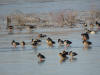 hiver sur balastiere ds boirres