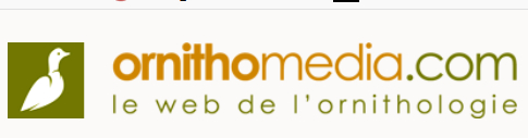 LOGO ENO