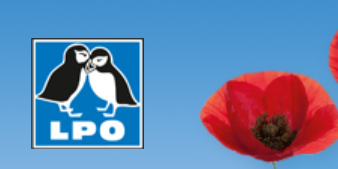 logo site lpo