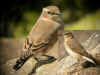 sp sp sp.jpg (399977 octets)